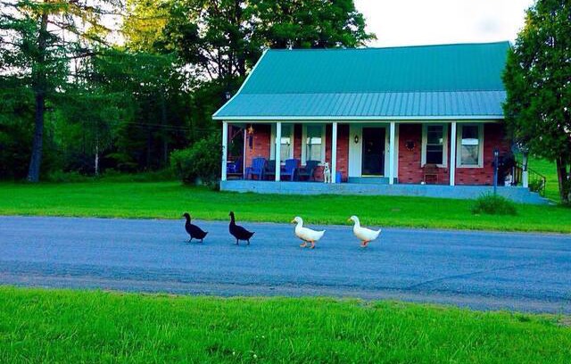 Brookfield House | Cozy Room in Farmhouse near Colgate, Cooperstown