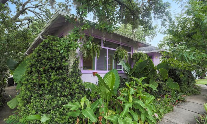 Audubon Apartment | The Purple House by Tulane