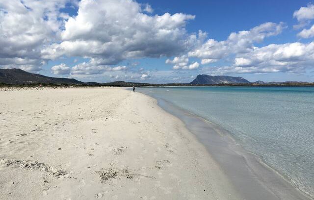 Buddittogliu Straulas House | Villa con piscina - San Teodoro