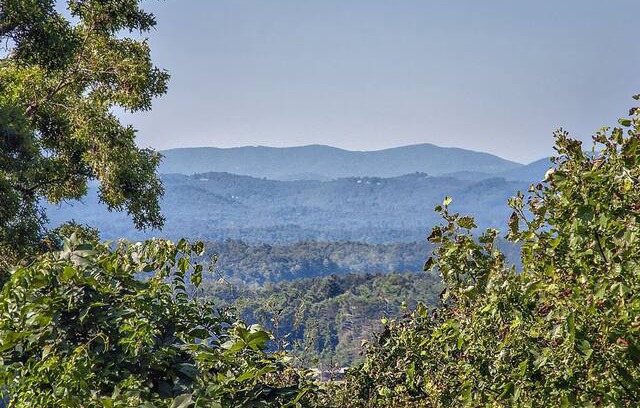 Royal Pines Apartment | Cozy Mountain Retreat - Views, Fire Pit & Hot Tub