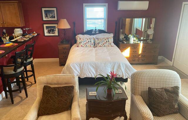 Lodi House | Beautiful Private Queen Studio - Vista de Viña