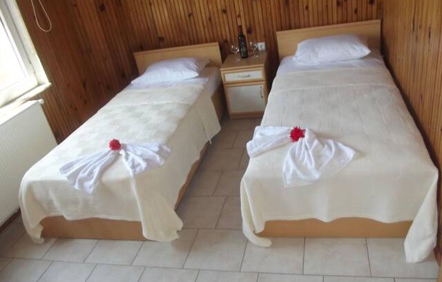 Sinop Apartment | Orman, deniz, doğanin tüm rekleriyle başbaşa...