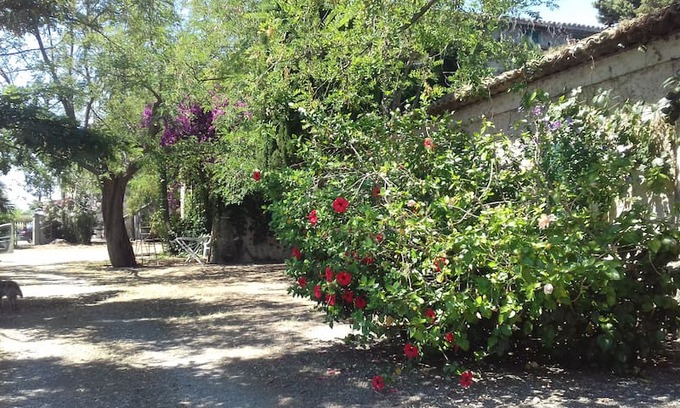 Riace Marina Apartment | Casa vacanze Calabria Ionica : mare,natura,cultura