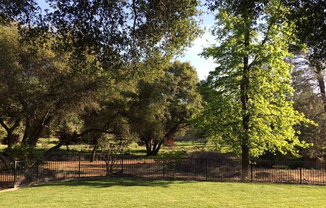 Granite Bay House | GRANITE BAY ESTATE 2.5 Acres Gated private