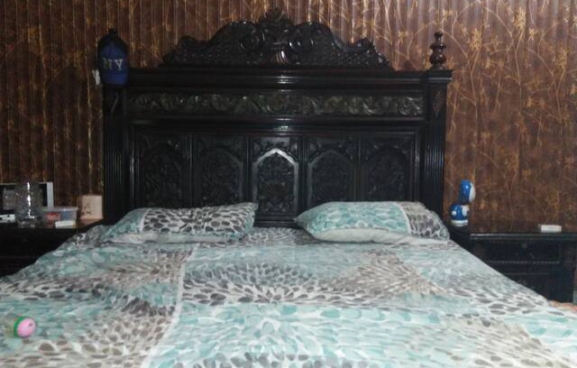 Punjab House | Vehari Tariq bin zayad colony house