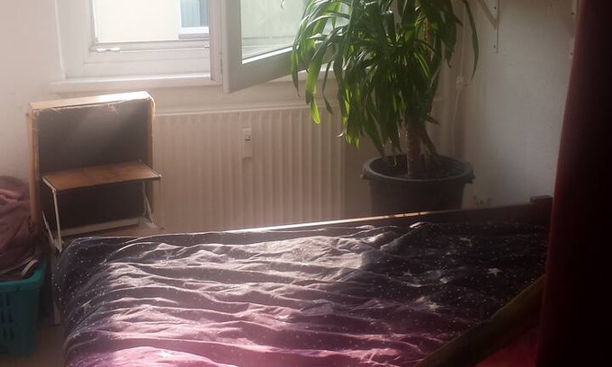Wilhelmsburg Apartment | Kleine, schöne Wohnung in Wilhelmsburg