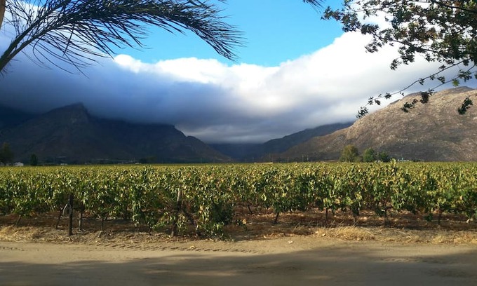 Breede Valley House | Damhuis, winefarm living, Rawsonville,