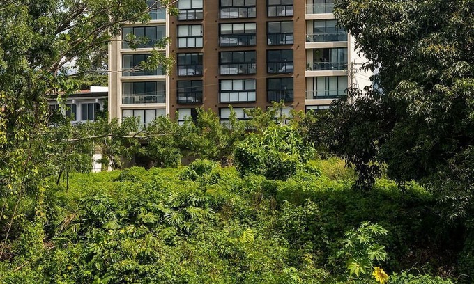Barrio Escalante Apartment | Brand new 1 bed loft with spectacular city view