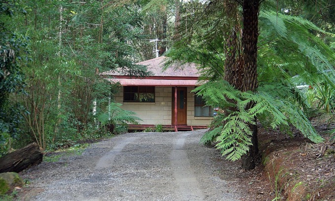 Mount Dandenong Cottage | Brook Cottage. 7 Acre Rain Forest Paradise