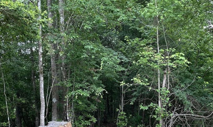 Jasper Cabin | Cozy cabin located on the Angelina River and minutes away from lake Sam Rayburn.