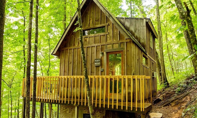 Slade House | Bird Nest Cabin: A Charming Hideaway Close to Natural Bridge, Dining, and Trails
