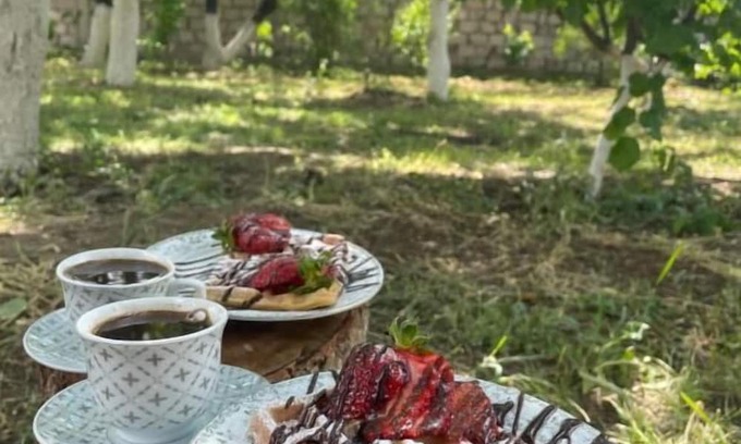 Yerevan House | Ruz & Arian Near Zvartnots Airport