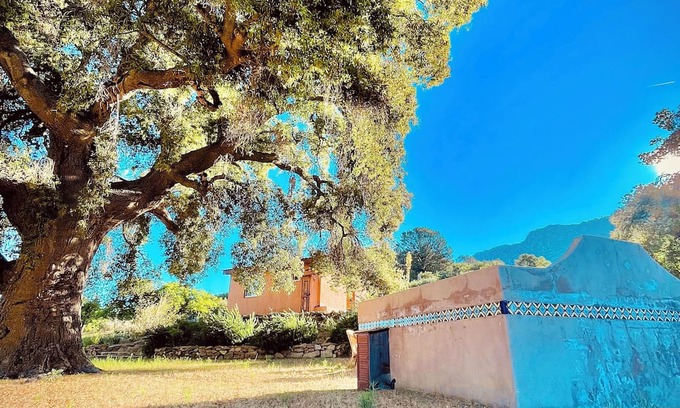 Nueva Ensenada Cabin | Casita de Adobe: Escape to the Sierra and Disconnect