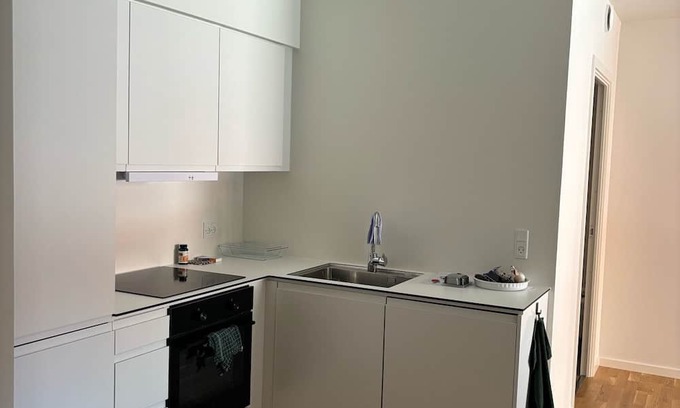 Odense Condo | Central apartment Odense (Jarl)