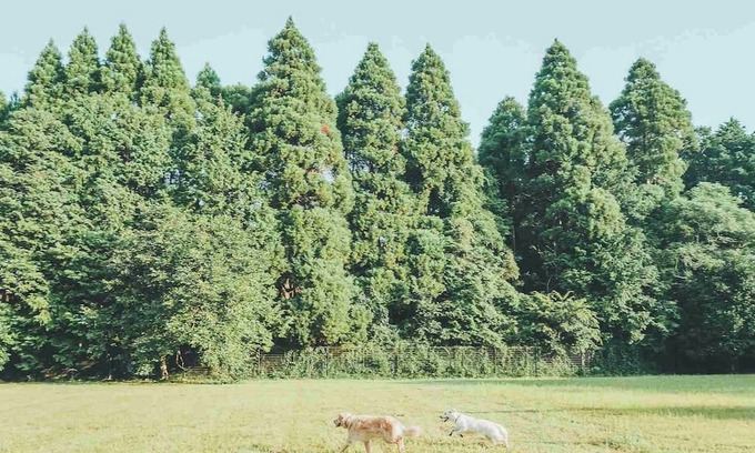 Sanbu-gun House | August only 20 off Limited to one group per d /Sanbu-gun Chiba