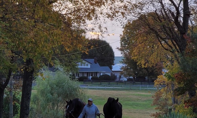 Georgetown Cabin | Horse Country Heaven