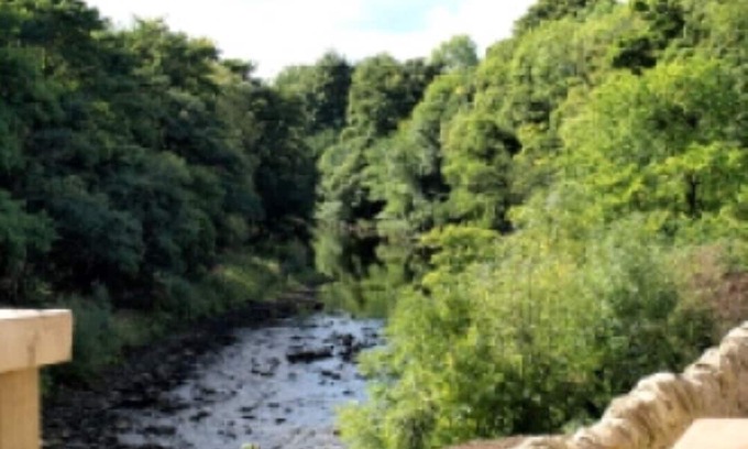 Witton-le-Wear Cottage | Plum Tree Holiday Cottage