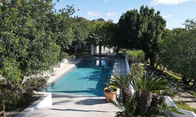 Laranjeiro Villa | Luxury Private Villa on Boutique Olive Farm Large private Pool