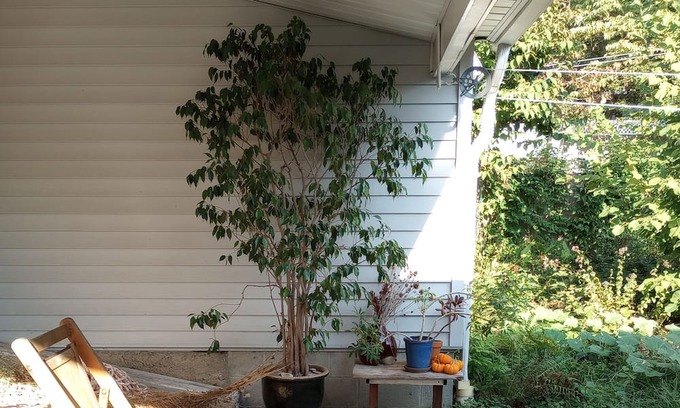 Nelsonville House | Village Home: West Point Graduation, Summer 2024. Hiking, Main St. Hudson River