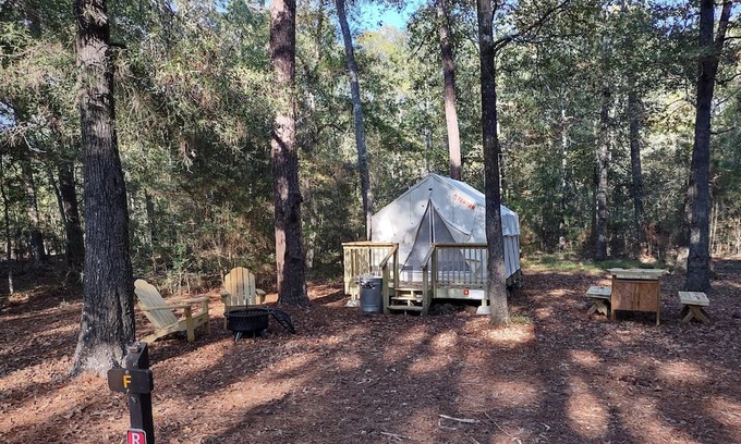 West Livingston RV Rental | Tentrr State Park Site - Texas Lake Livingston State Park - Site B - Single Camp