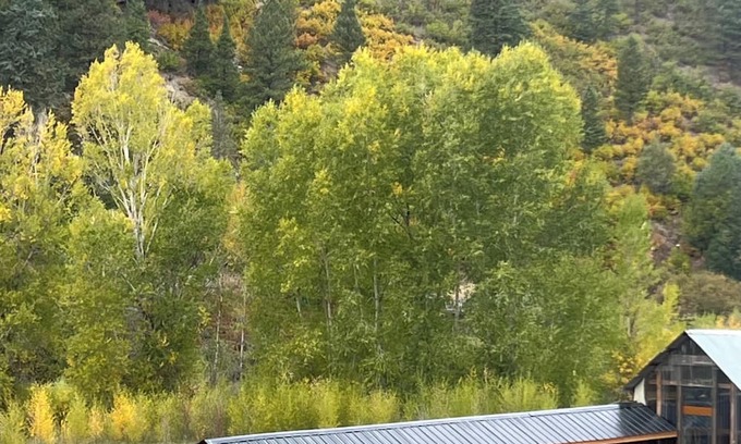 Durango Cabin | Yun-Shui Garden nWhere Clouds Drift, Water Flows