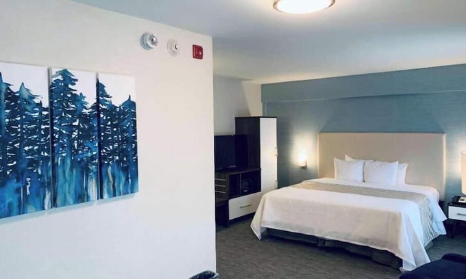 Northeast Mississauga Apartment | Hotel Chandni Victoria - King Room