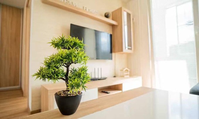 Juh Apartment | Nice flat in city
