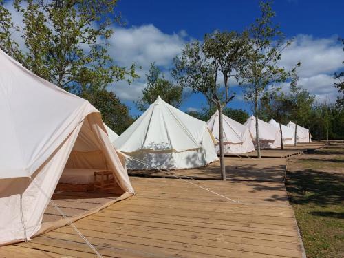 Casablanca Other | Glamping Zaragoza Camping